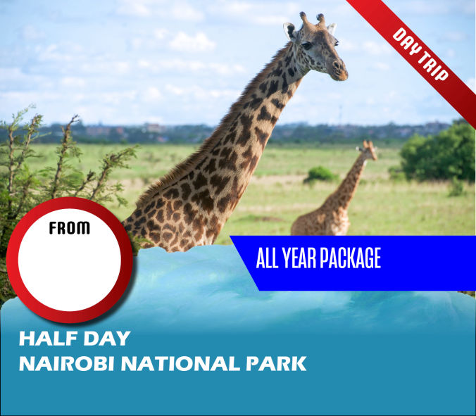 Half Day Nairobi National Park