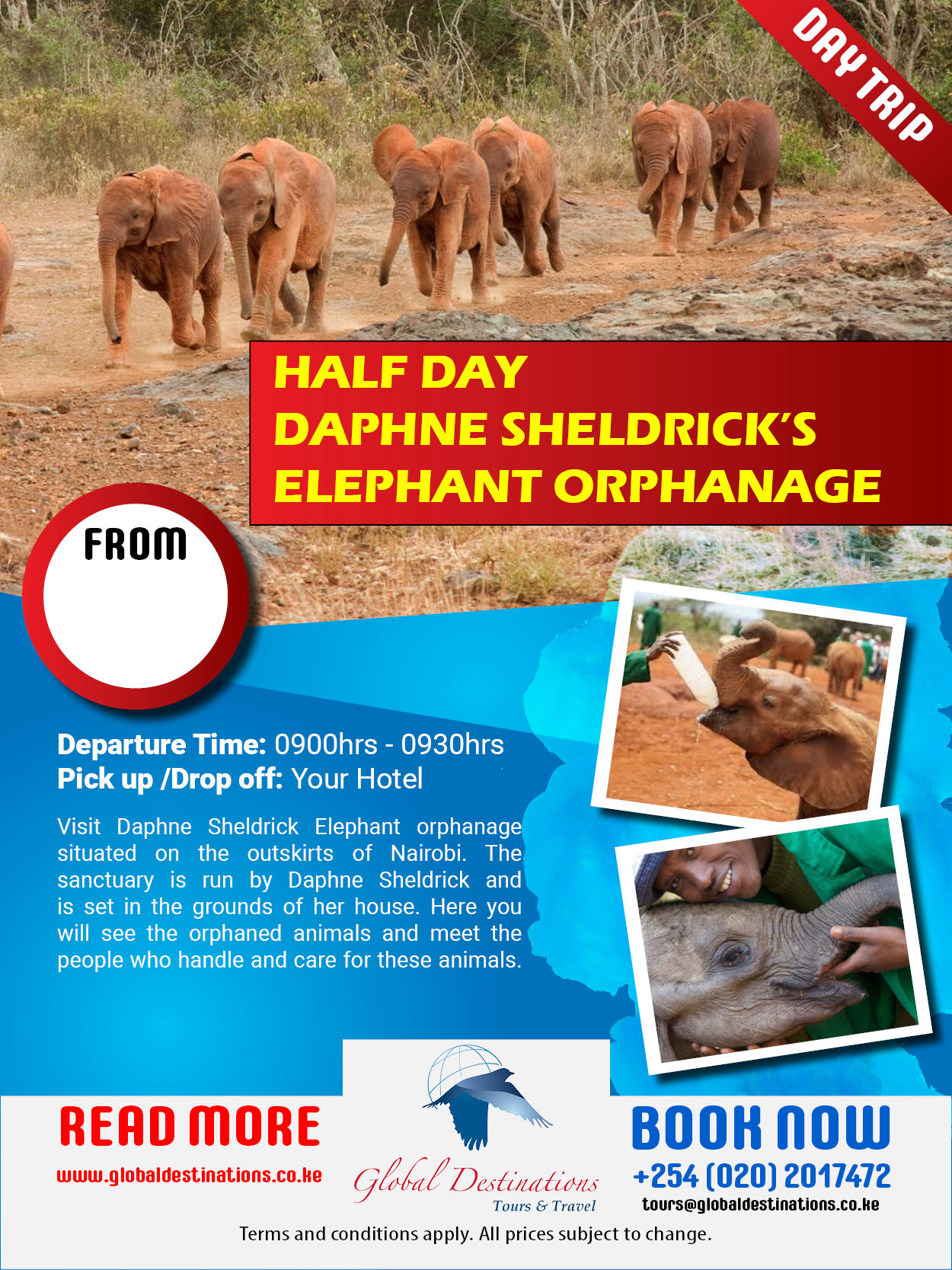 Half Day Daphne Sheldricks Elephant Orphanage